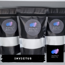 Load image into Gallery viewer, Invictus - Carpet Freshener Shaker/Refill Pouch