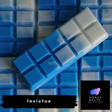 Load image into Gallery viewer, Invictus Wax Melt Snap Bar - 50g