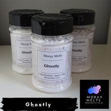 Load image into Gallery viewer, Ghostly - Carpet Freshener Shaker/Refill Pouch - Moray Melts
